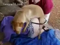 [ Animal Sex DVD ] Mutt thrusts his rod inside a fur pie